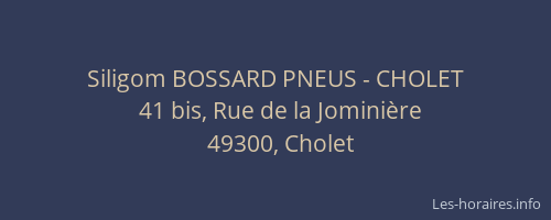 Siligom BOSSARD PNEUS - CHOLET