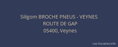 Siligom BROCHE PNEUS - VEYNES