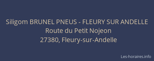 Siligom BRUNEL PNEUS - FLEURY SUR ANDELLE