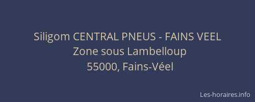 Siligom CENTRAL PNEUS - FAINS VEEL