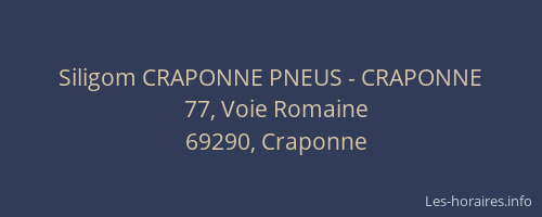 Siligom CRAPONNE PNEUS - CRAPONNE