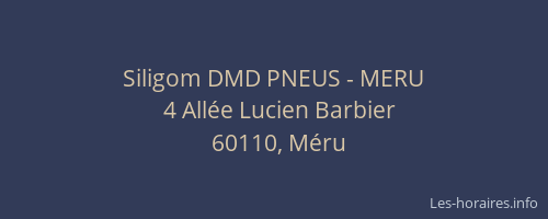 Siligom DMD PNEUS - MERU