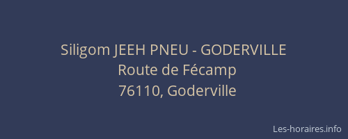 Siligom JEEH PNEU - GODERVILLE