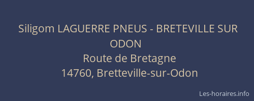 Siligom LAGUERRE PNEUS - BRETEVILLE SUR ODON