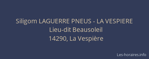 Siligom LAGUERRE PNEUS - LA VESPIERE
