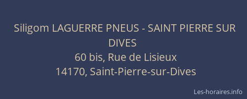Siligom LAGUERRE PNEUS - SAINT PIERRE SUR DIVES