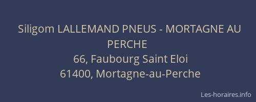 Siligom LALLEMAND PNEUS - MORTAGNE AU PERCHE