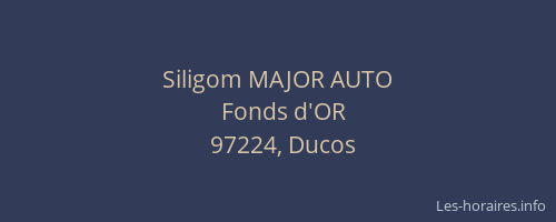 Siligom MAJOR AUTO