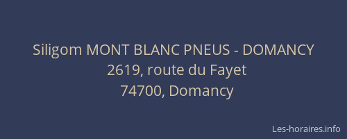 Siligom MONT BLANC PNEUS - DOMANCY