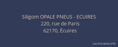 Siligom OPALE PNEUS - ECUIRES