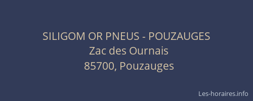 SILIGOM OR PNEUS - POUZAUGES