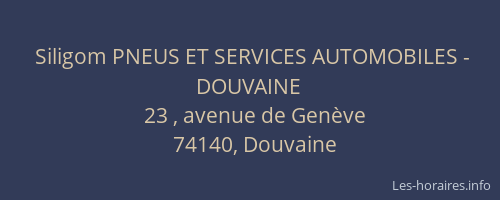Siligom PNEUS ET SERVICES AUTOMOBILES - DOUVAINE