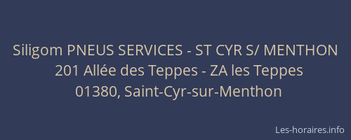 Siligom PNEUS SERVICES - ST CYR S/ MENTHON