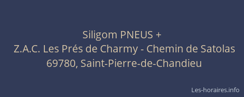 Siligom PNEUS +