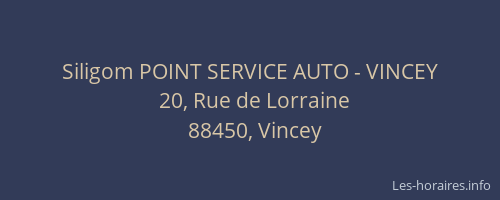 Siligom POINT SERVICE AUTO - VINCEY