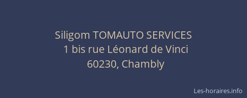 Siligom TOMAUTO SERVICES