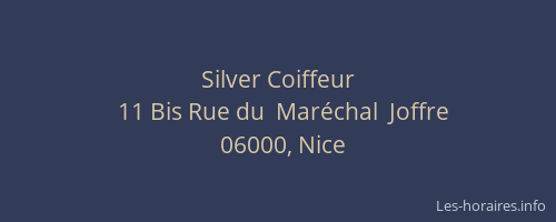 Silver Coiffeur