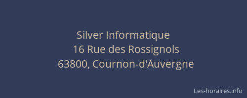 Silver Informatique