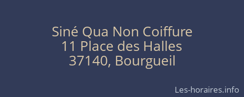Siné Qua Non Coiffure