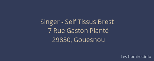 Singer - Self Tissus Brest