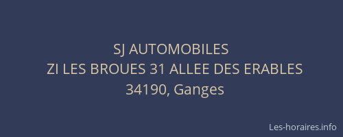 SJ AUTOMOBILES