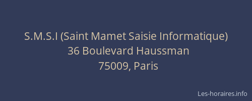 S.M.S.I (Saint Mamet Saisie Informatique)