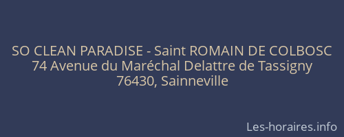 SO CLEAN PARADISE - Saint ROMAIN DE COLBOSC