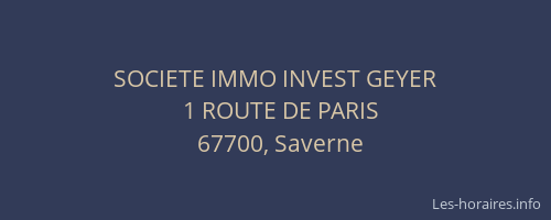 SOCIETE IMMO INVEST GEYER