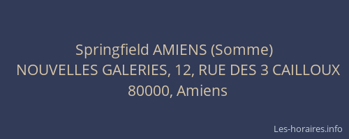 Springfield AMIENS (Somme)