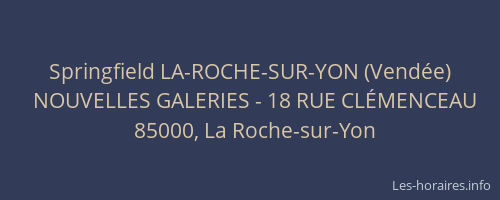 Springfield LA-ROCHE-SUR-YON (Vendée)