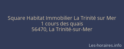 Square Habitat Immobilier La Trinité sur Mer
