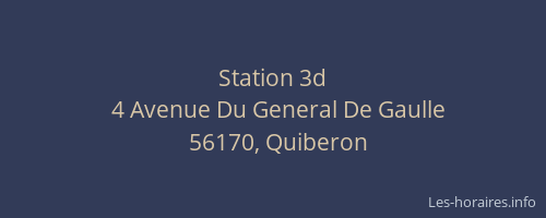 Station 3d