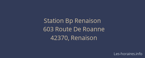 Station Bp Renaison