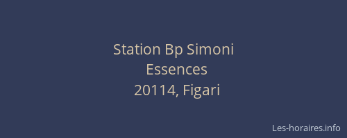 Station Bp Simoni