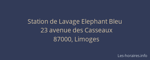 Station de Lavage Elephant Bleu