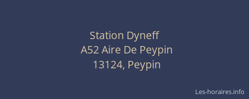 Station Dyneff