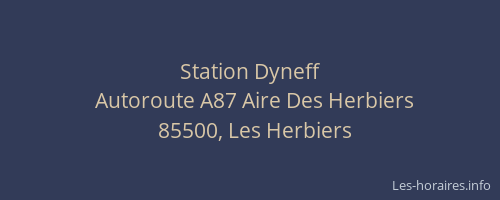 Station Dyneff