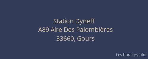 Station Dyneff
