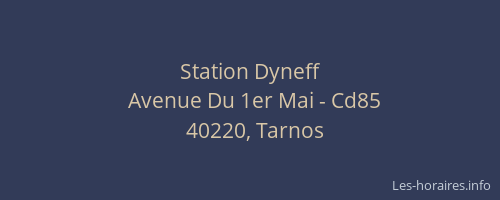 Station Dyneff