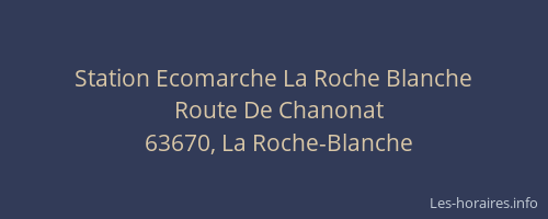 Station Ecomarche La Roche Blanche