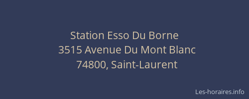 Station Esso Du Borne