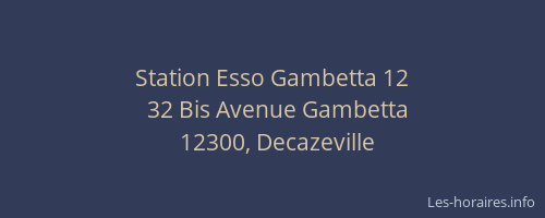 Station Esso Gambetta 12