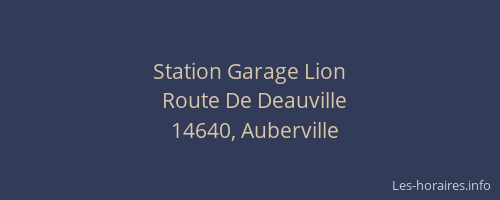 Station Garage Lion