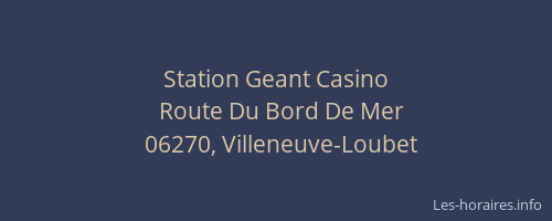 Station Geant Casino