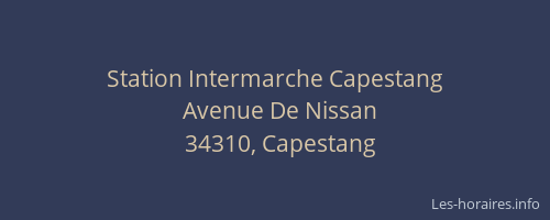 Station Intermarche Capestang