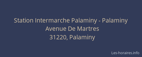 Station Intermarche Palaminy - Palaminy