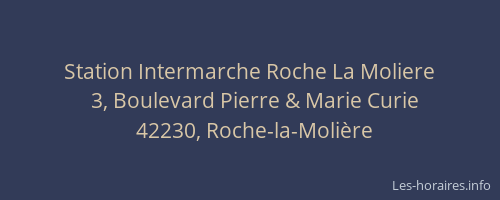 Station Intermarche Roche La Moliere