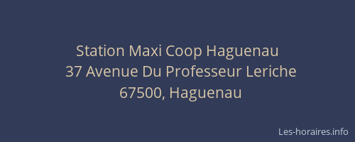 Station Maxi Coop Haguenau