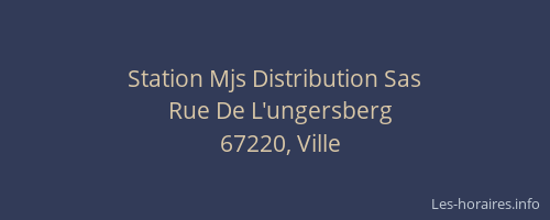 Station Mjs Distribution Sas