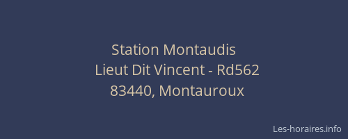 Station Montaudis